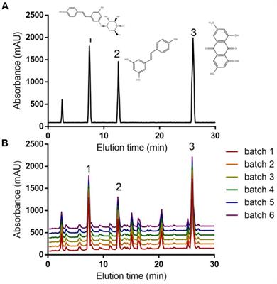 Root Extract of Polygonum cuspidatum Siebold & Zucc. Ameliorates DSS-Induced Ulcerative Colitis by Affecting NF-kappaB Signaling Pathway in a Mouse Model via Synergistic Effects of Polydatin, Resveratrol, and Emodin